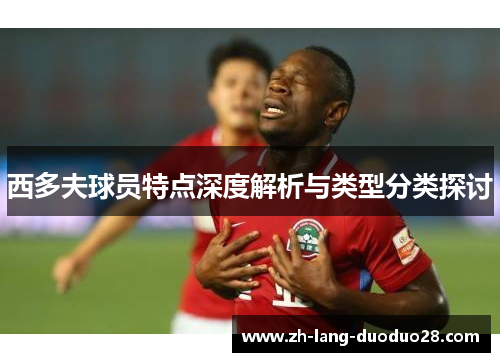 西多夫球员特点深度解析与类型分类探讨