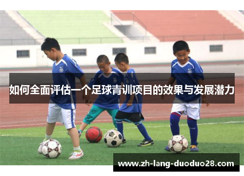 如何全面评估一个足球青训项目的效果与发展潜力 如何全面评估一个足球青训项目的效果与发展潜力