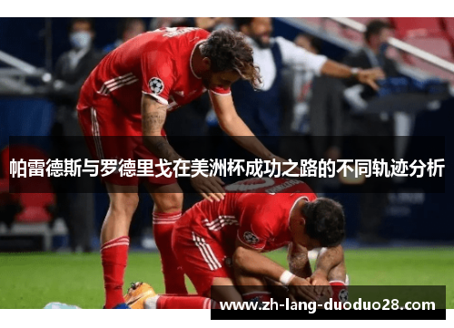 帕雷德斯与罗德里戈在美洲杯成功之路的不同轨迹分析