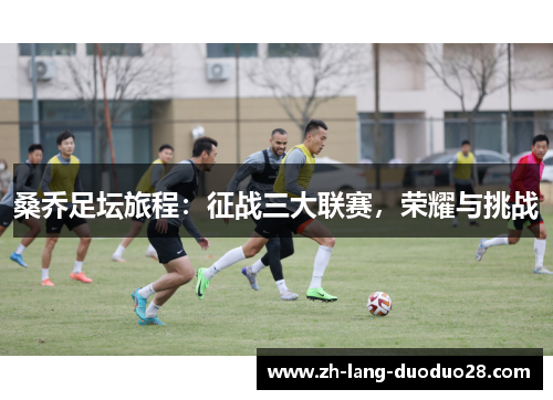 桑乔足坛旅程:征战三大联赛,荣耀与挑战 桑乔足坛旅程:征战三大联赛,荣耀与挑战