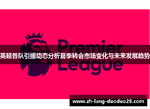 英超各队引援动态分析夏季转会市场变化与未来发展趋势