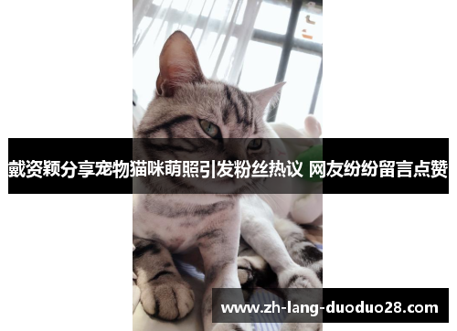 戴资颖分享宠物猫咪萌照引发粉丝热议 网友纷纷留言点赞 戴资颖分享宠物猫咪萌照引发粉丝热议 网友纷纷留言点赞